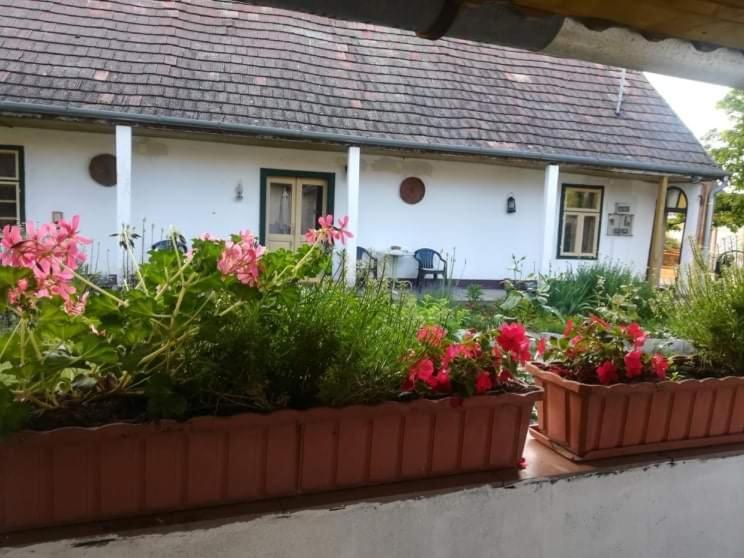 Terez Haza Hotel Pazmand Exterior photo